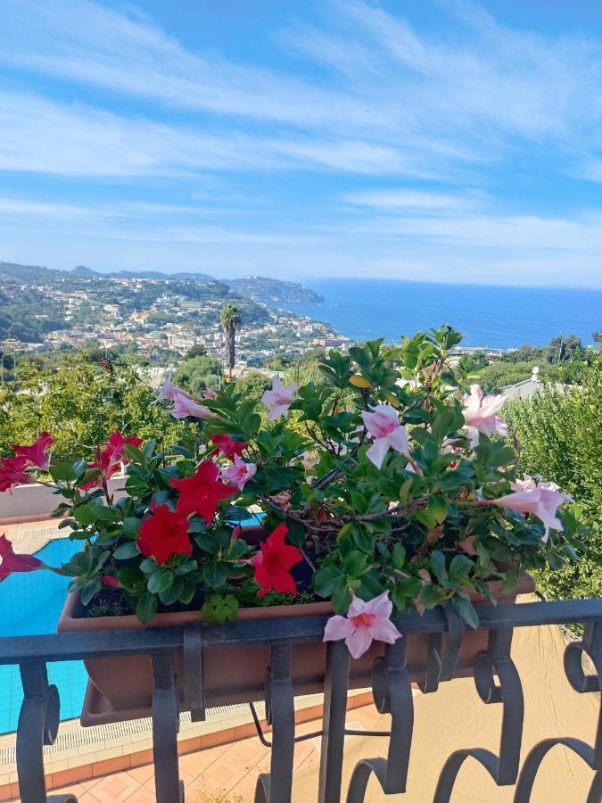 Hotel Ape Regina Casamicciola Terme Bagian luar foto
