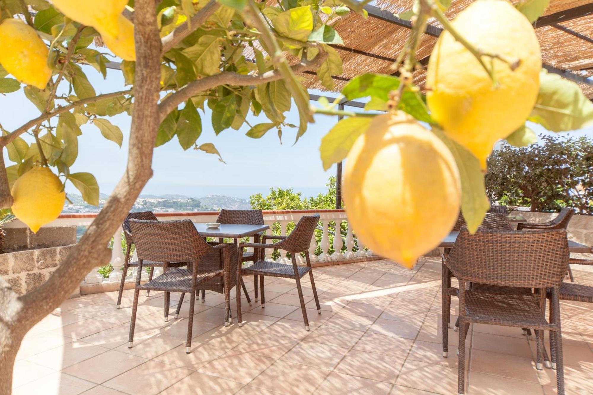 Hotel Ape Regina Casamicciola Terme Bagian luar foto